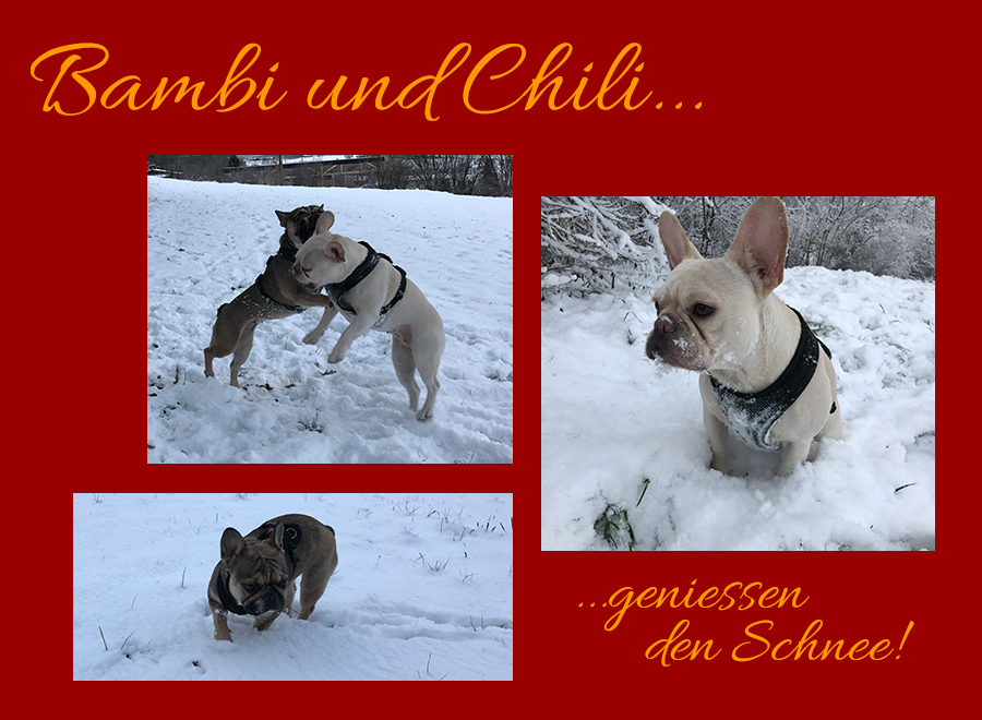 Bambi und Chili