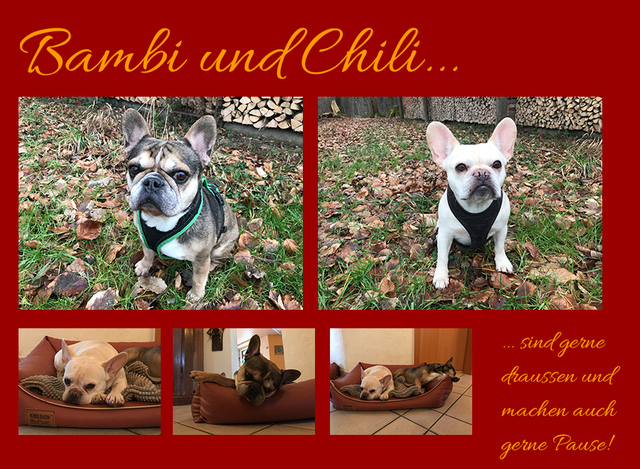 Bambi und Chili