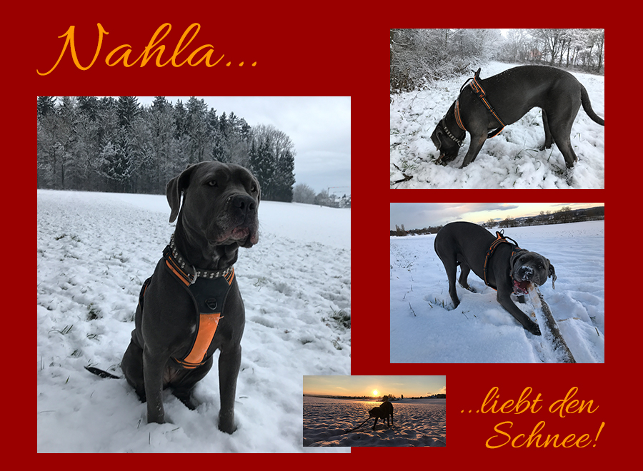 Nahla