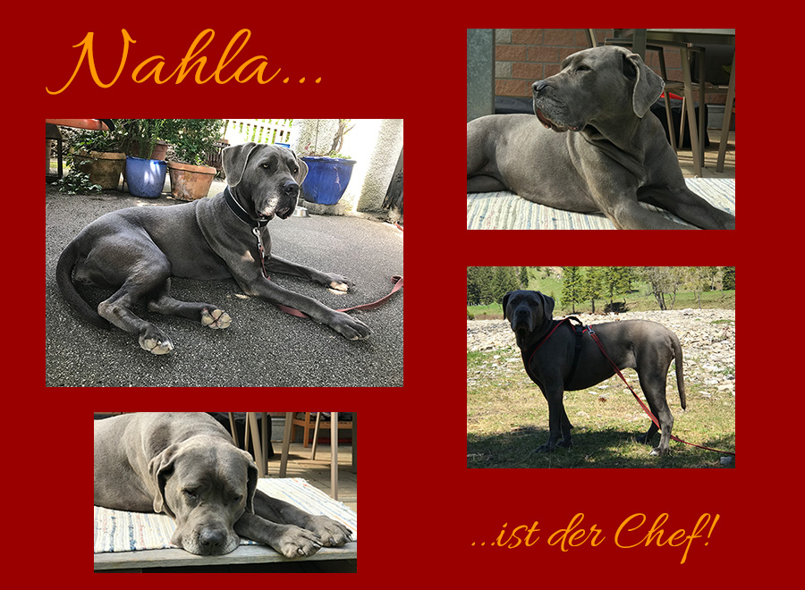 Nahla