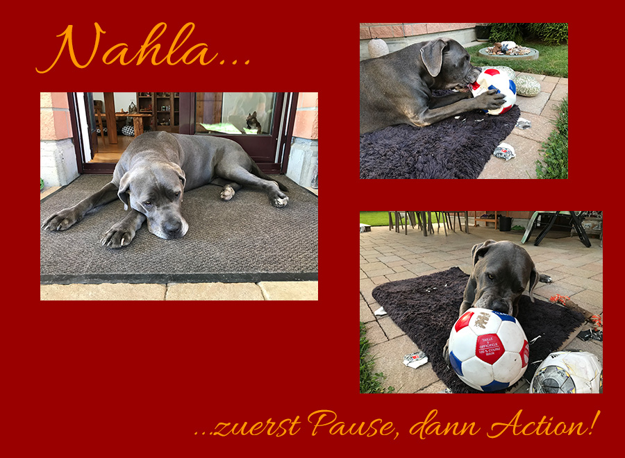 Nahla