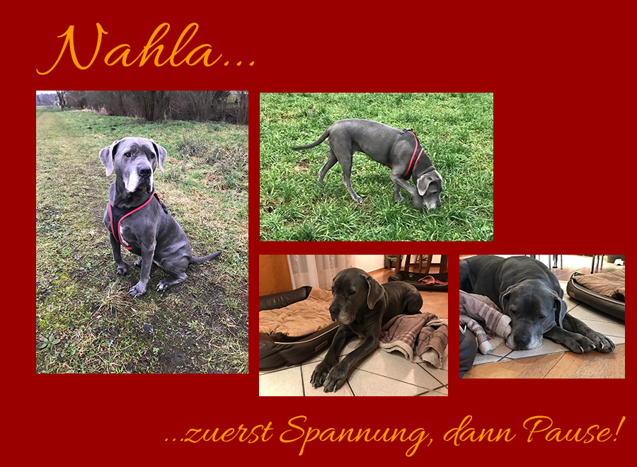 Nahla