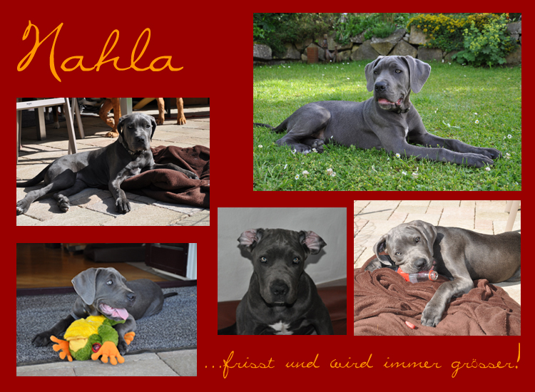 Nahla