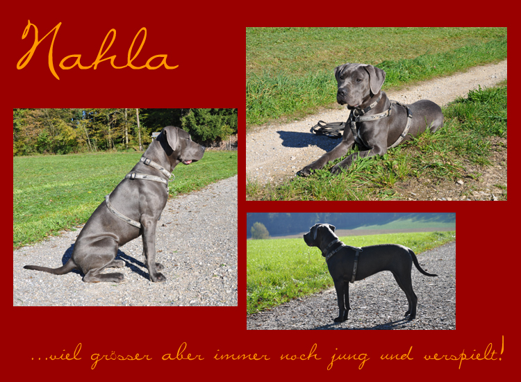 Nahla
