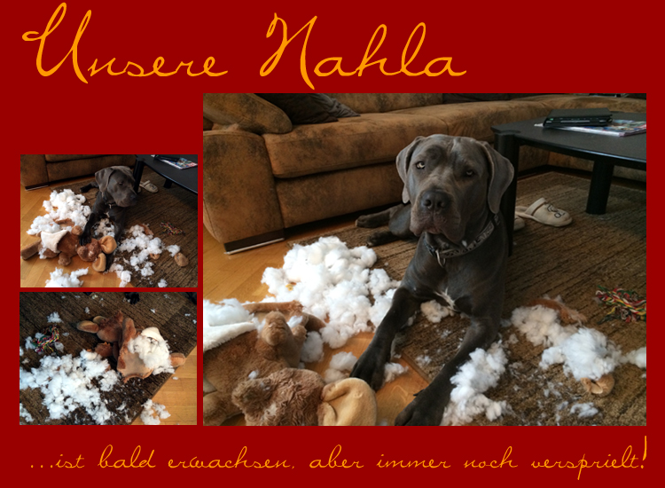 Nahla