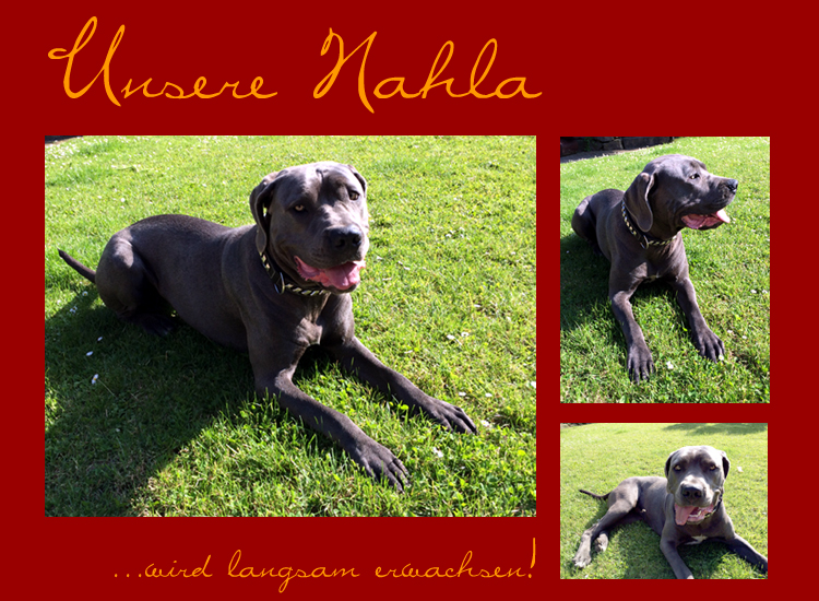 Nahla