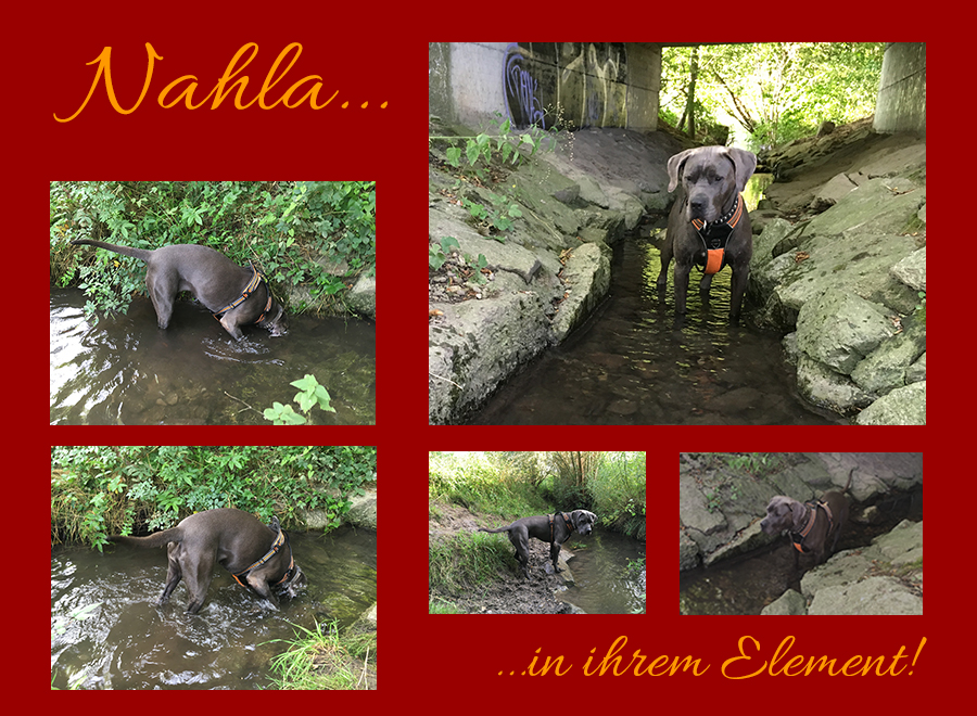 Nahla