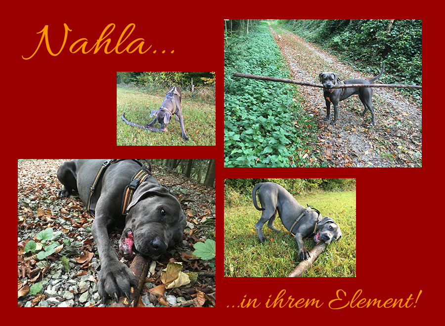 Nahla